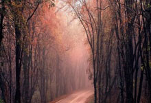 梅因茨取得关键胜利，逼近保级成功