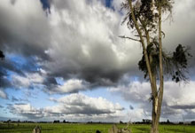 柏林赫塔主场大胜多特蒙德，发挥出色