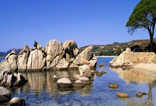 法兰克福球员技压群雄，成功斩获胜利